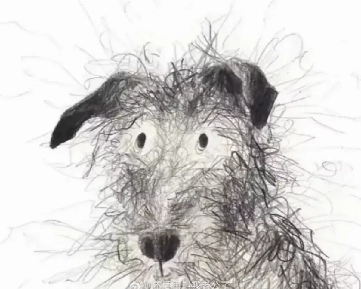 男童學素描畫風狂放   網友驚呼是藝術家